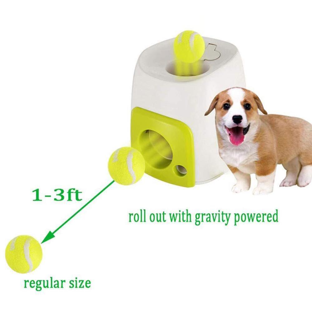 Automatic Interactive Pet Toy - Byloh