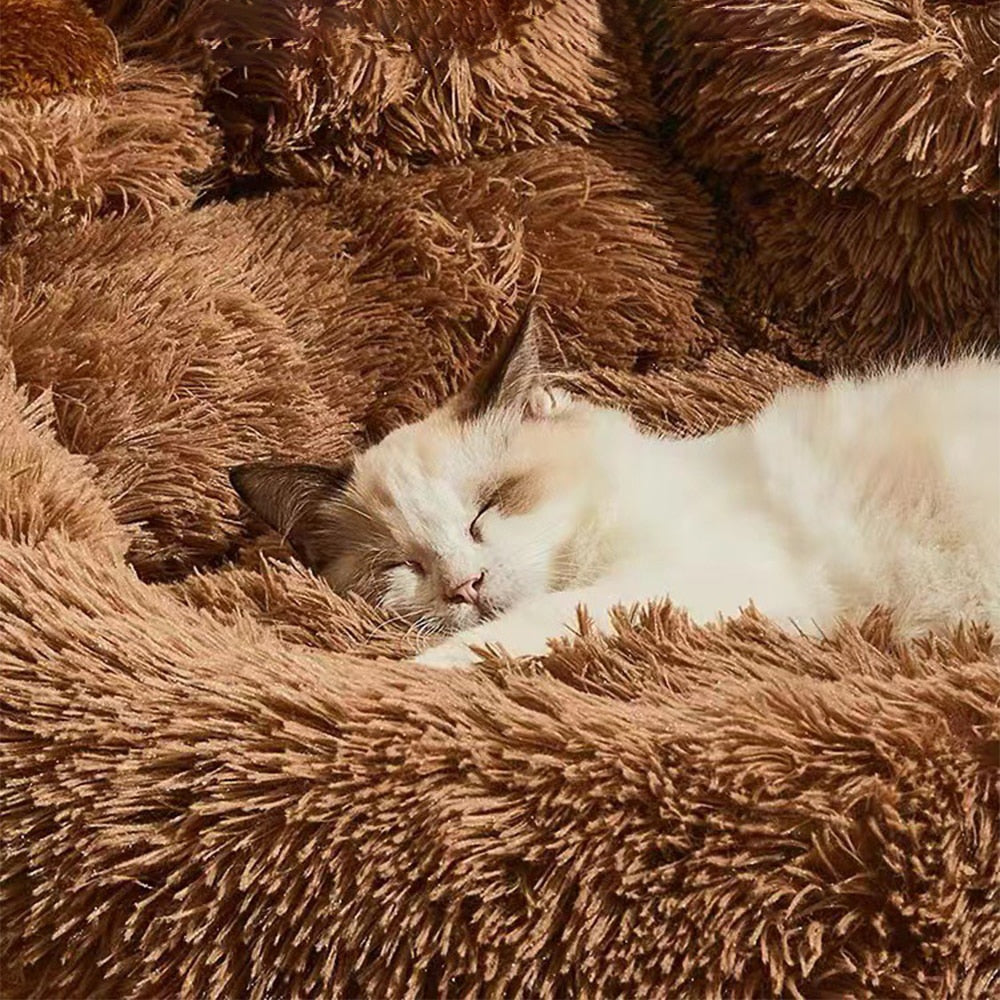 Byloh Plush Paw Pet Bed