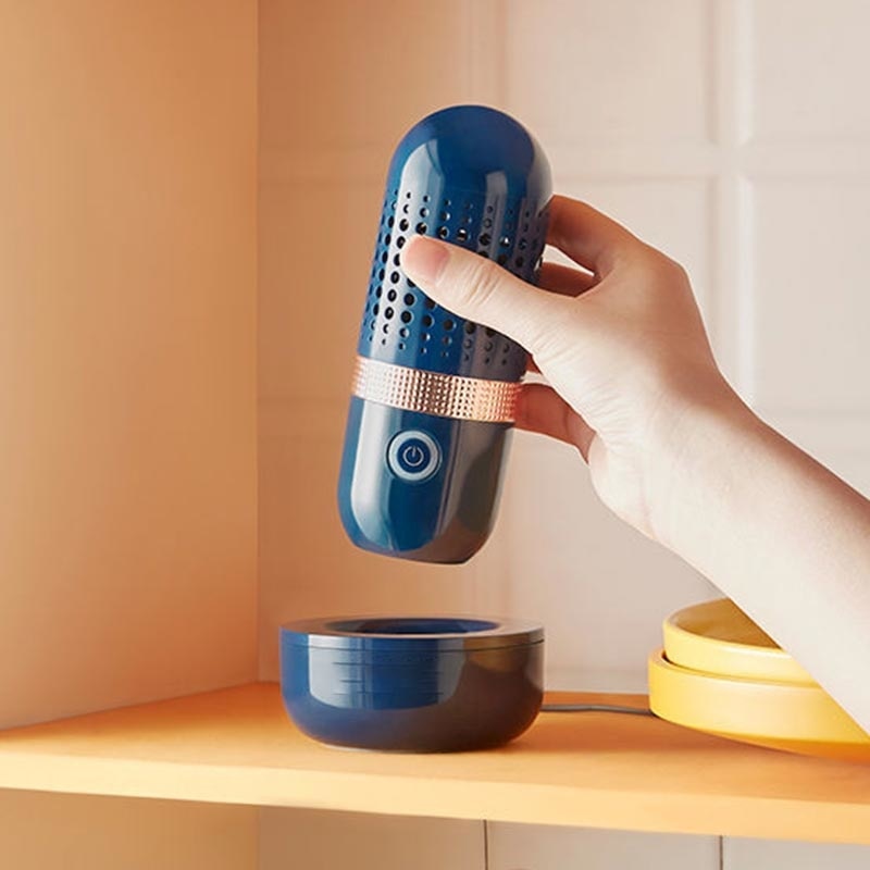 Portable Wireless Fruit Purifier - Byloh