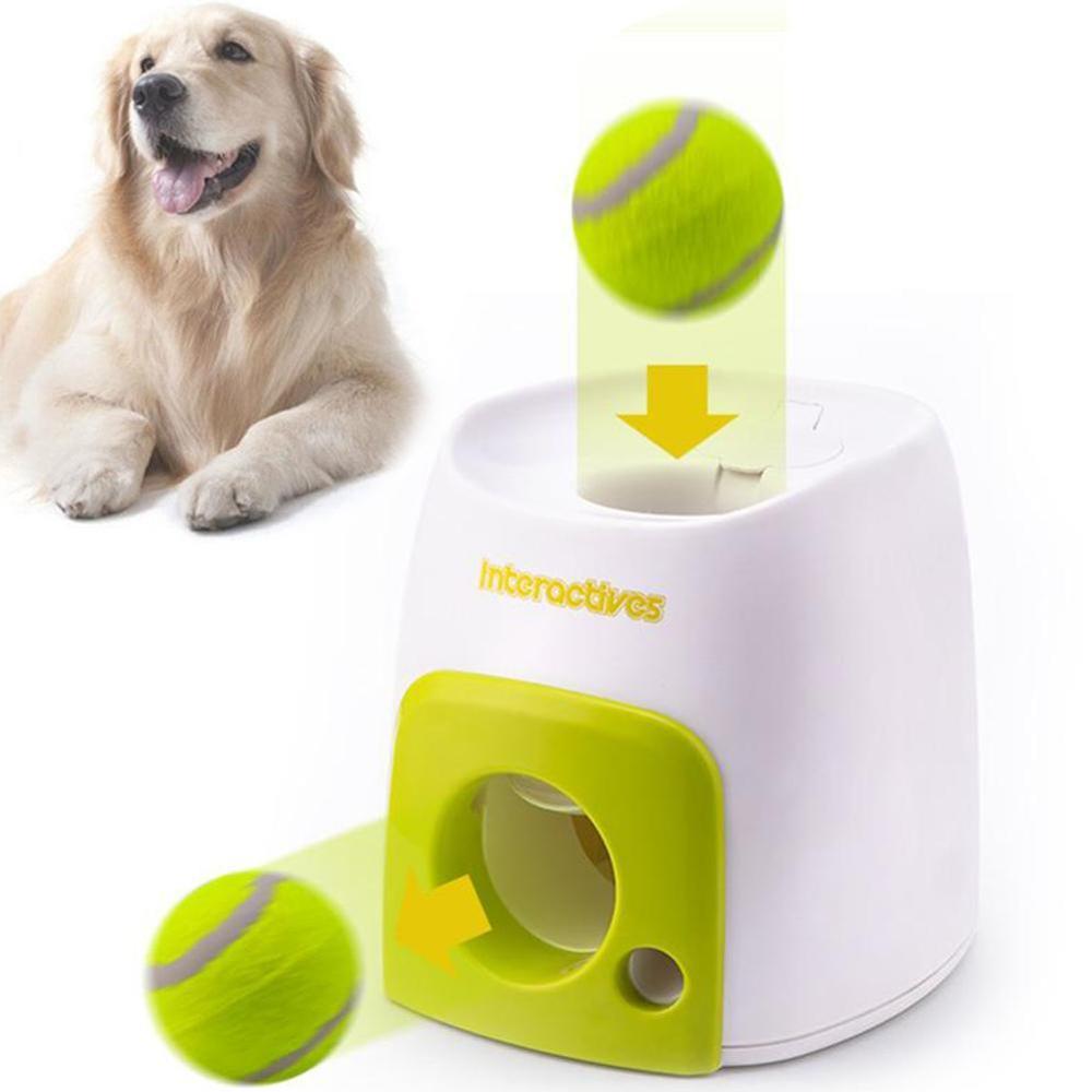 Automatic Interactive Pet Toy - Byloh