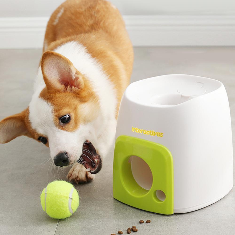 Automatic Interactive Pet Toy - Byloh