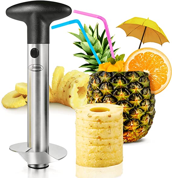 Super Fast Pineapple Slicer - Byloh