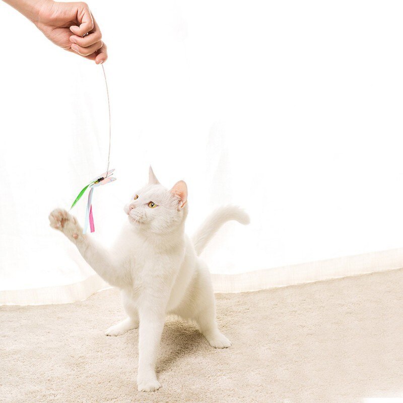 Interactive Cat Teasing Toy - Byloh