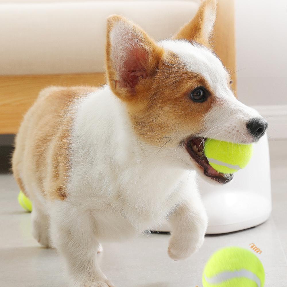 Automatic Interactive Pet Toy - Byloh